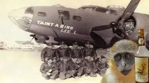 download 2026 01 04T080654.103